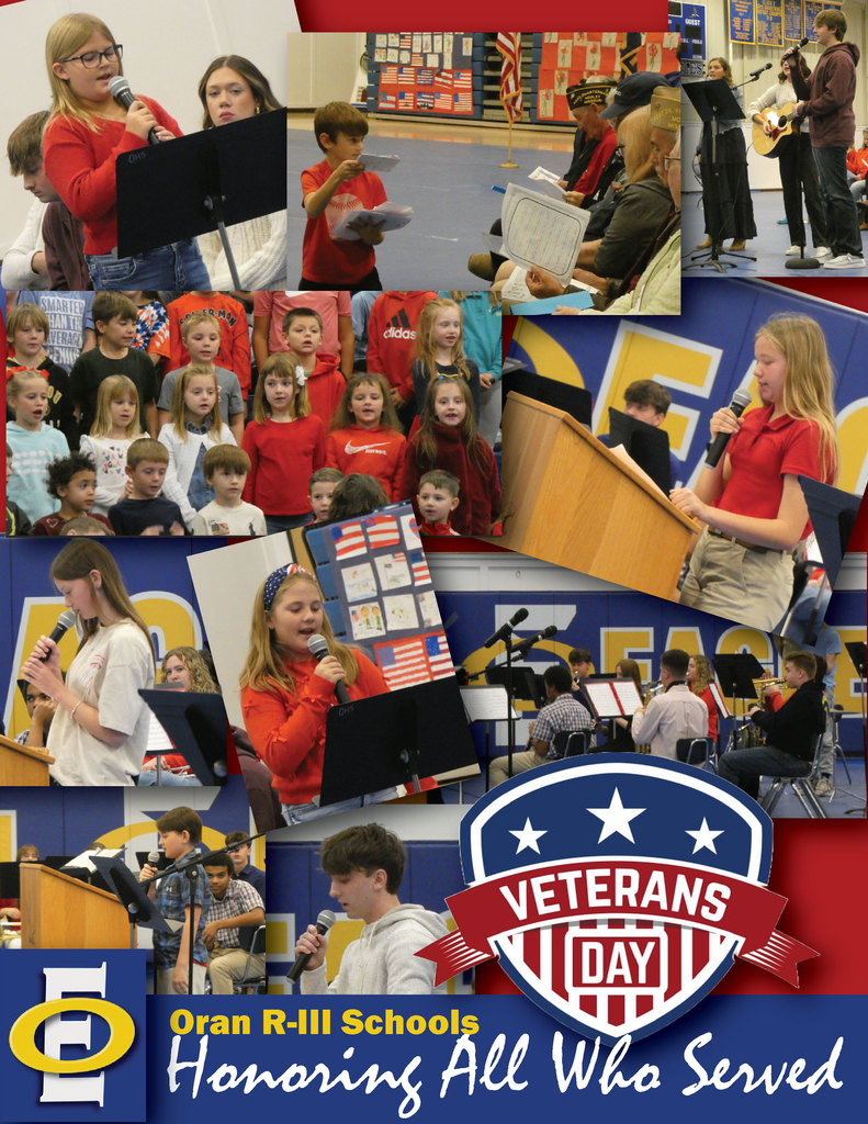veterans day HONORING COLLAGE