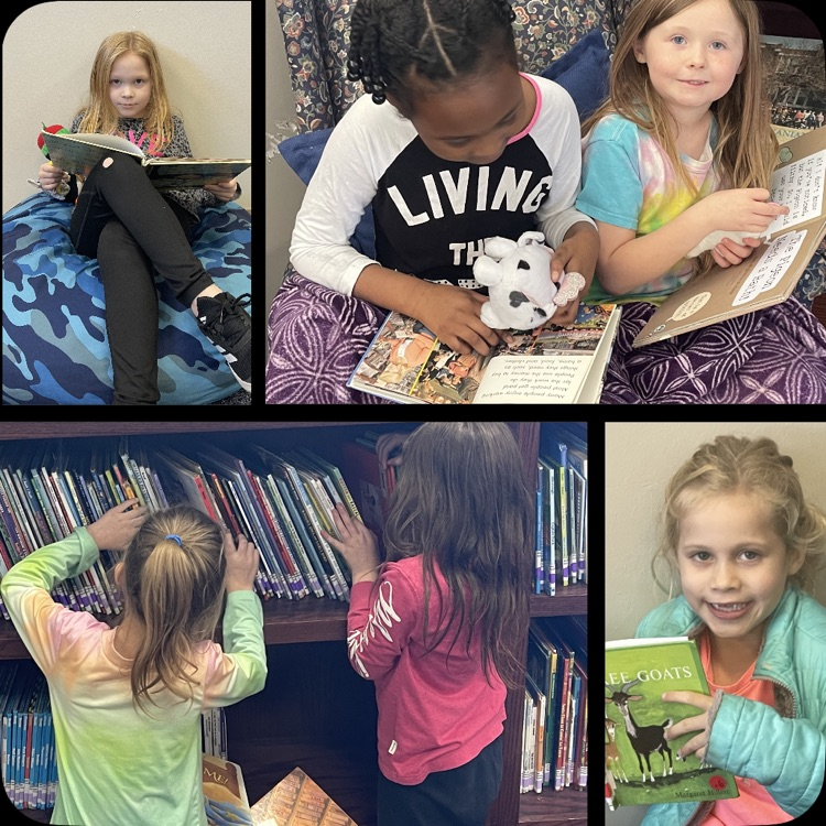 collage of students in the library