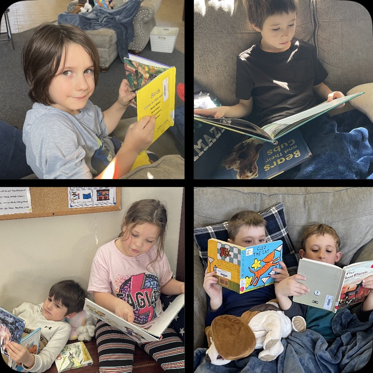 collage of students in the library