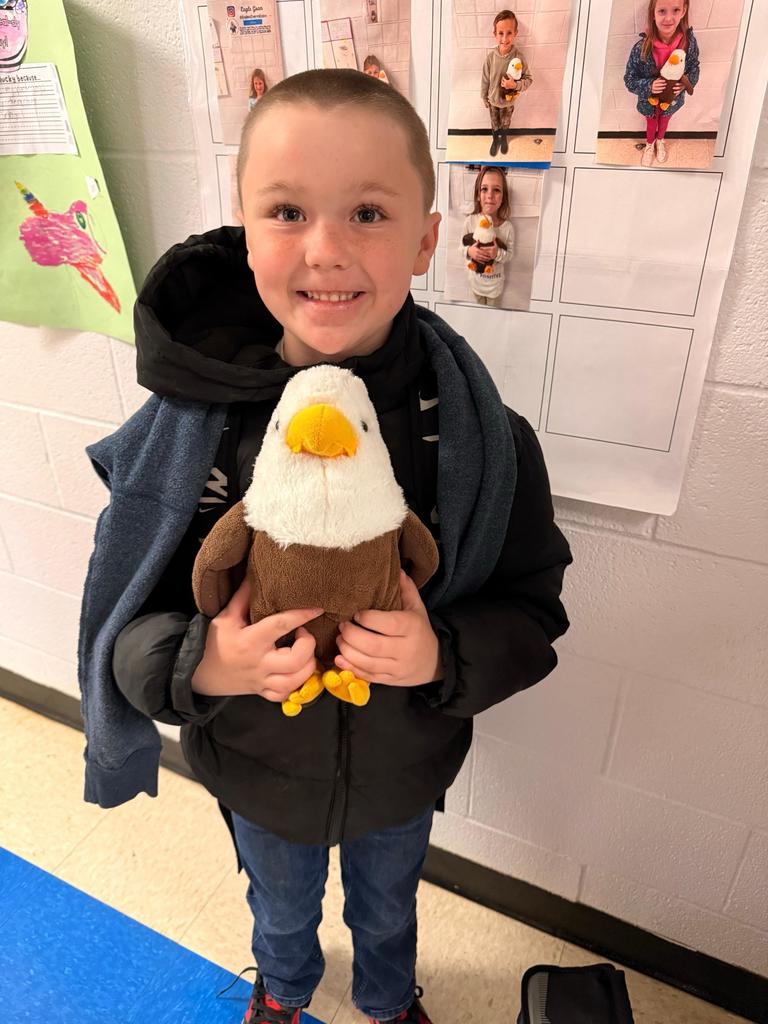 Soaring Eagle of the week