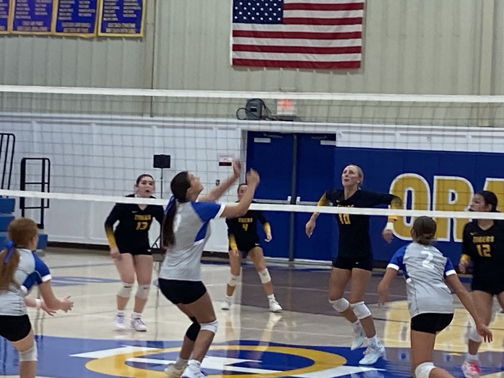 Gray-and-blue volleyball player positions under the ball while teammates and opponents watch the play develop.