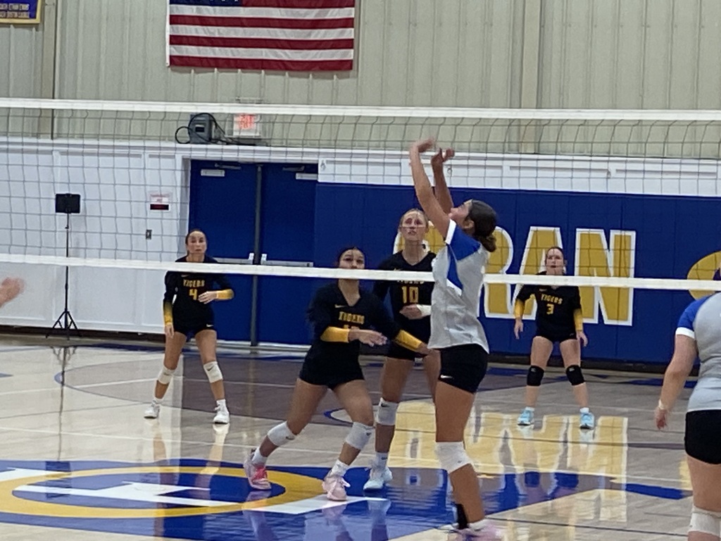 Volleyball player in gray and blue raises both hands to set the ball as opponents prepare across the net.