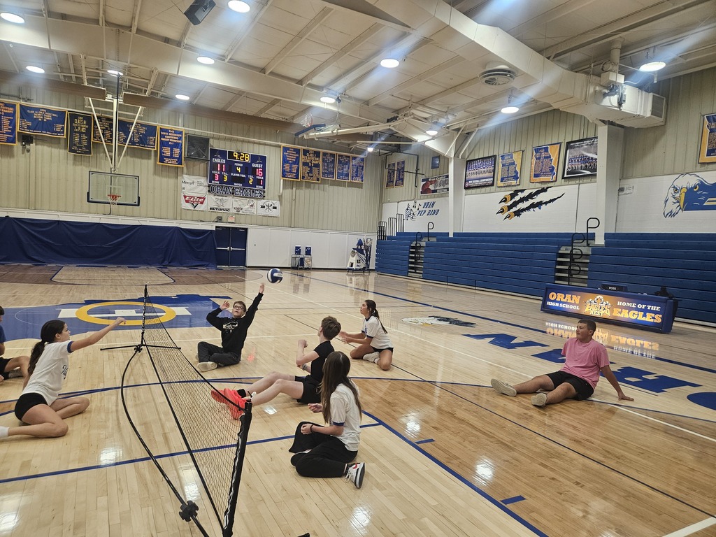 Students sit on both sides of a low net during a seated volleyball game, with one player preparing to hit the ball.