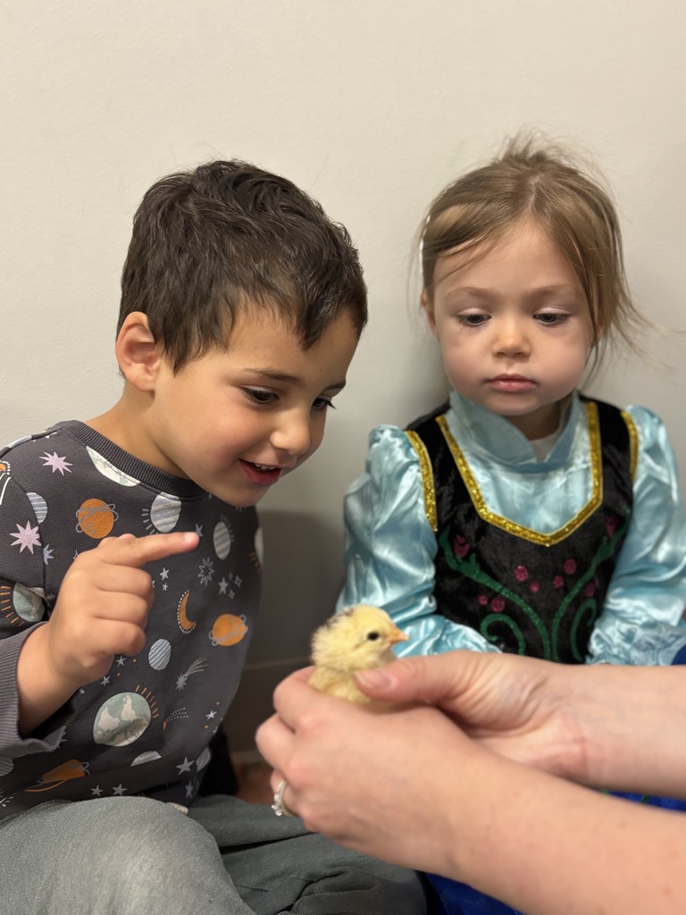 Two students look at a baby chick
