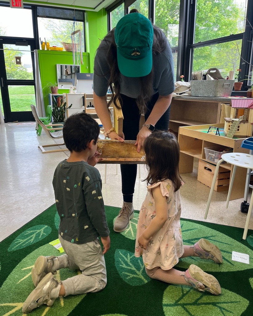 A woman wearing a baseball hat showing two preschoolers a bee hive 