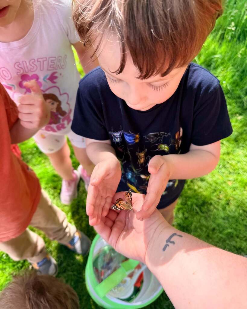 A preschool student releases a butterfly outside