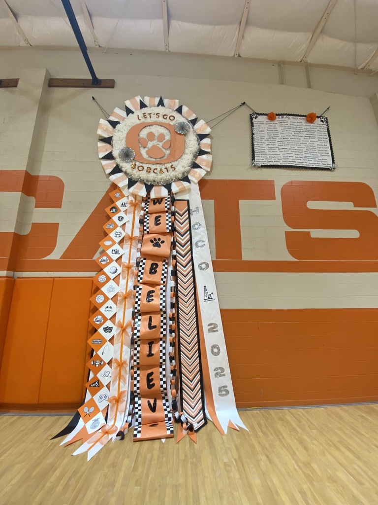 A picture of Mrs. Castillo's 8th grade agriculture class's mega mum. On display for Homecoming week.