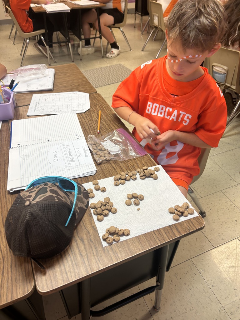 Students completing project