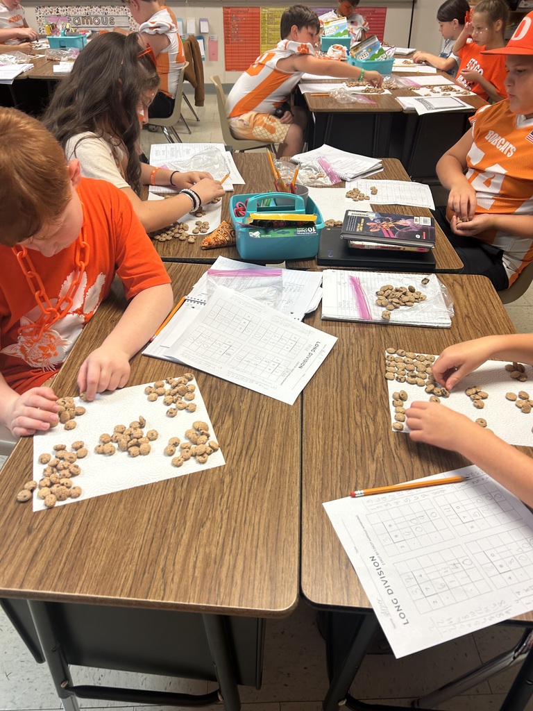 Students completing project