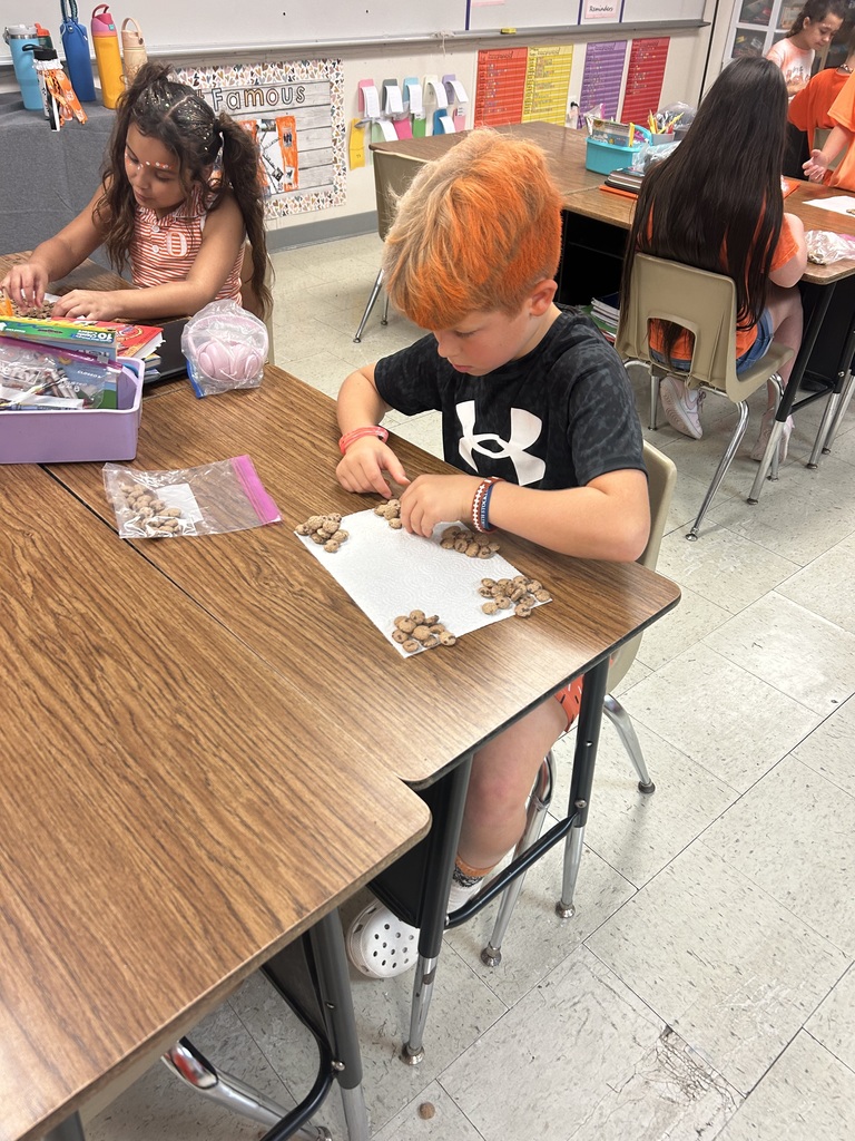 Students completing project