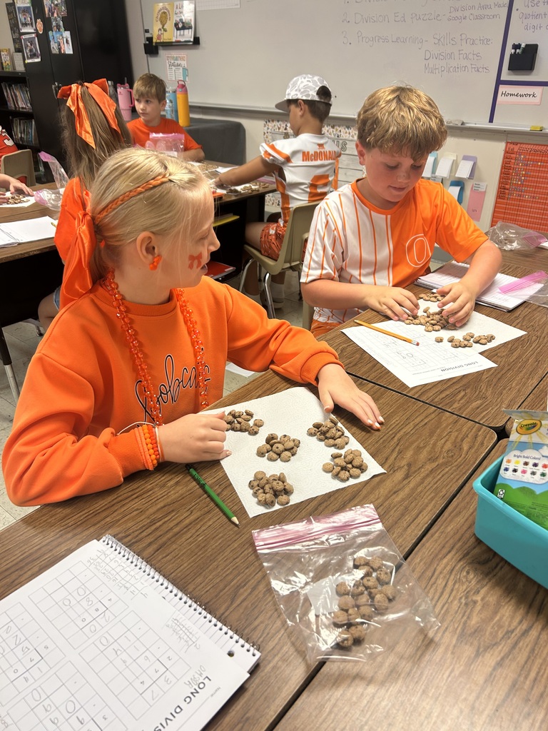 Students completing project