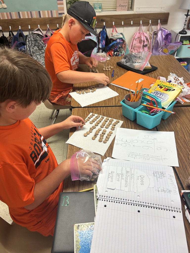 Students completing project