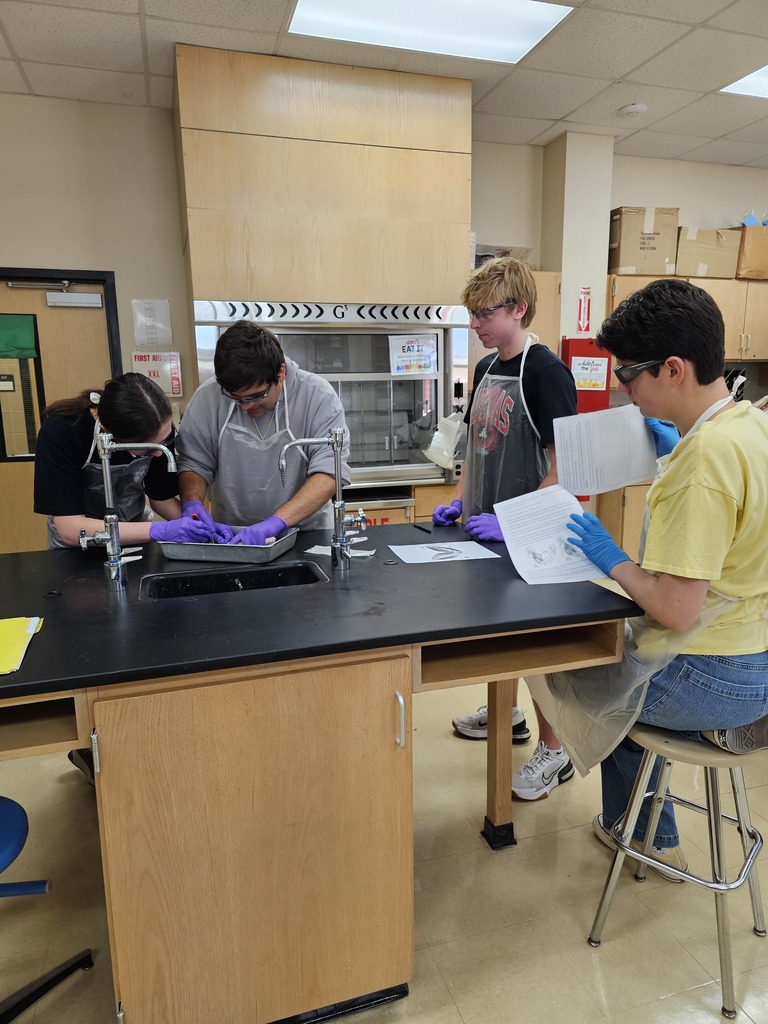 four students dissecting at a lab table