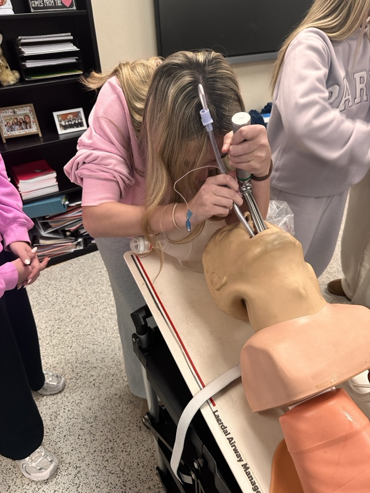 student working with a mannequin