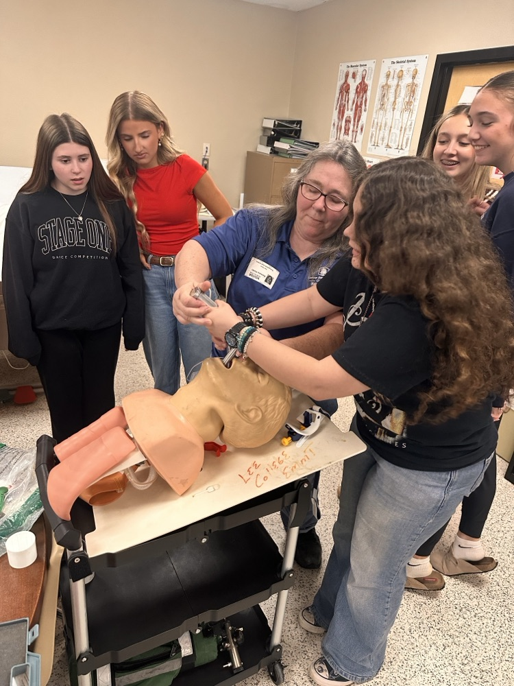 students watching a demonstration