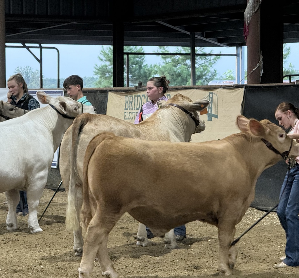 Jenna with her steer.