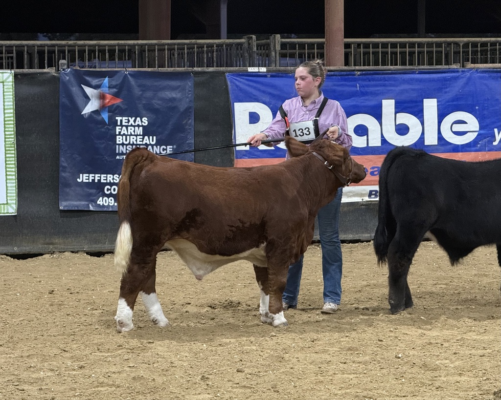 Jenna with her steer.