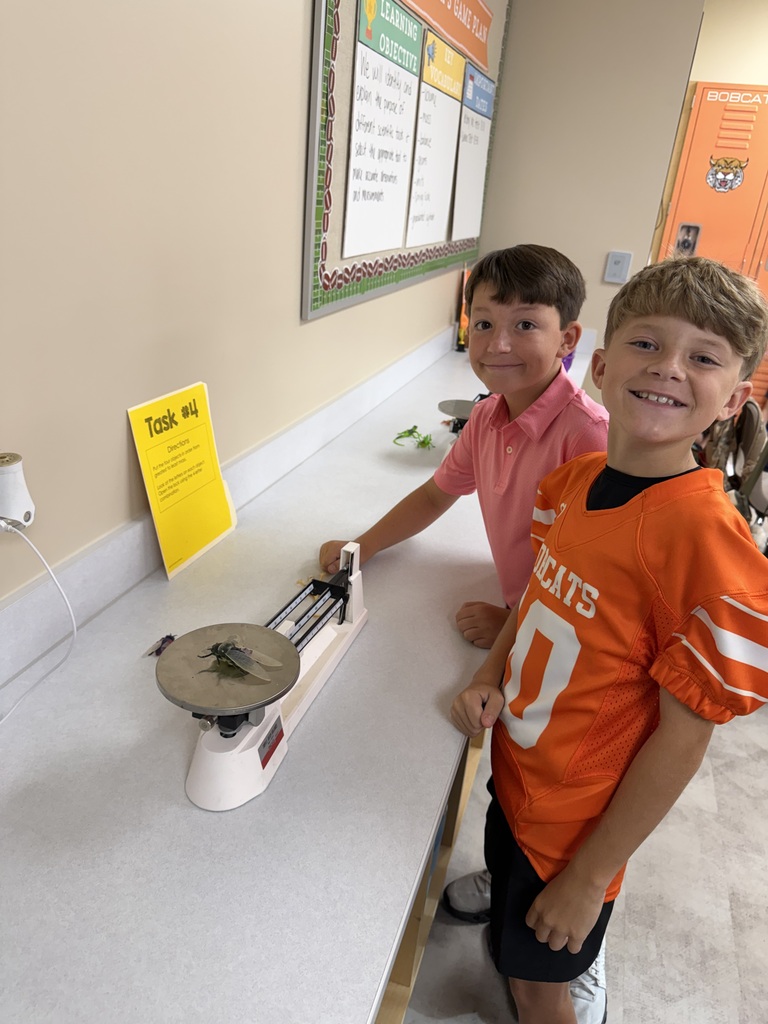 Students with Scale