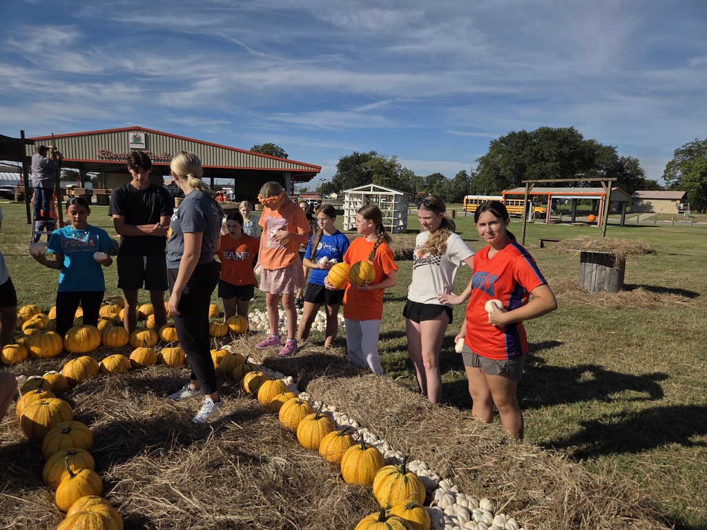 Students setting up pumpkins for orangetober fest.