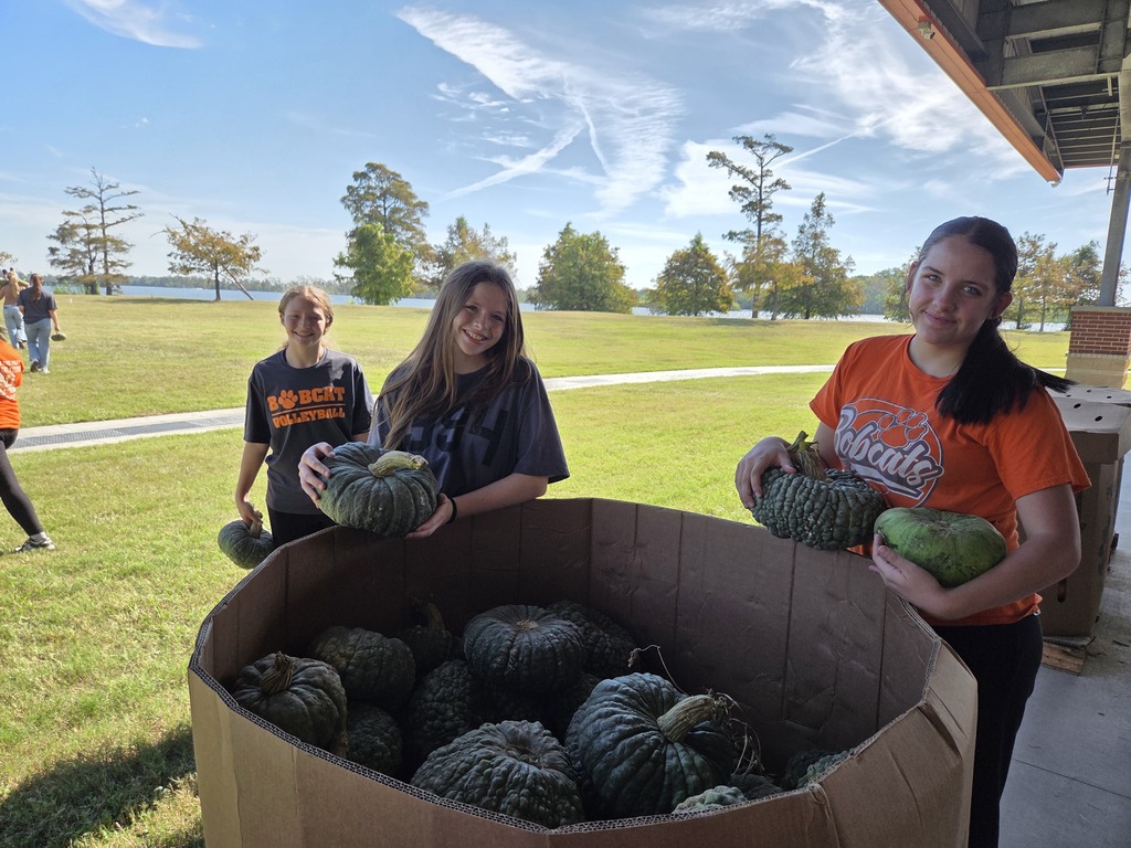 Students setting up pumpkins for orangetober fest.