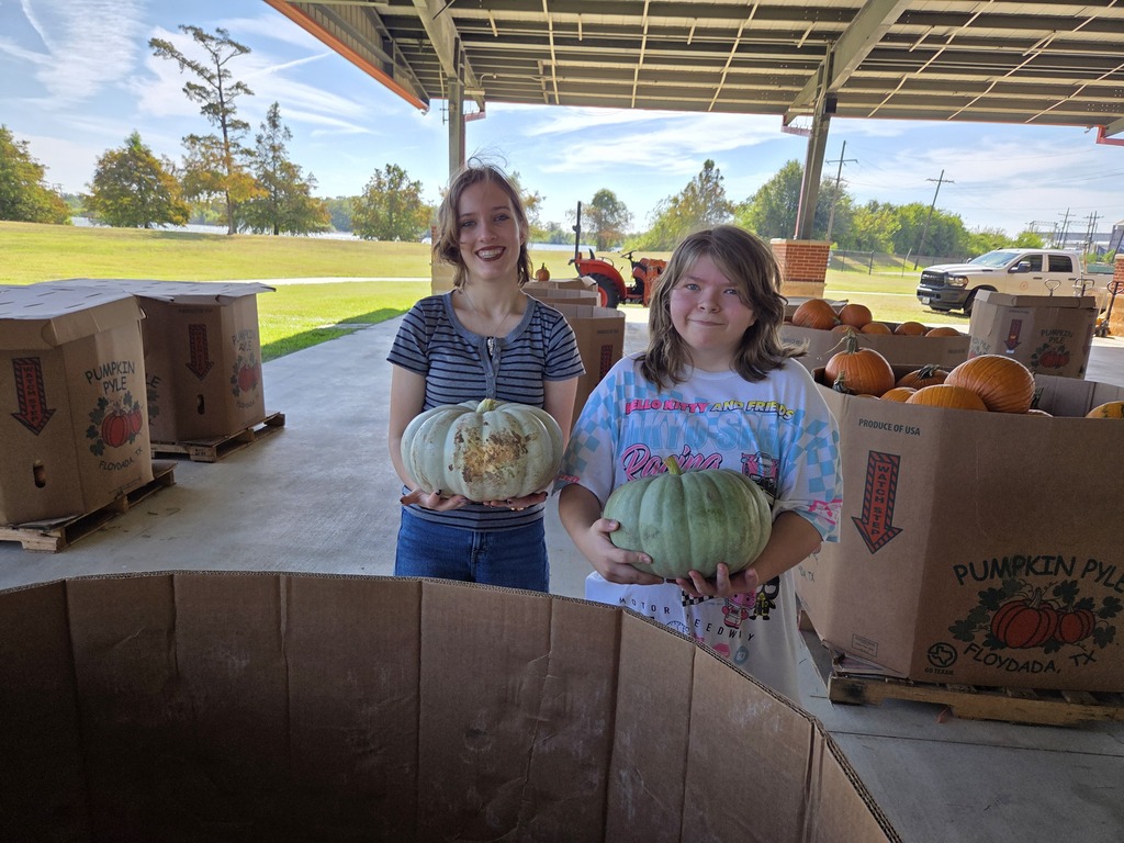 Students setting up pumpkins for orangetober fest.