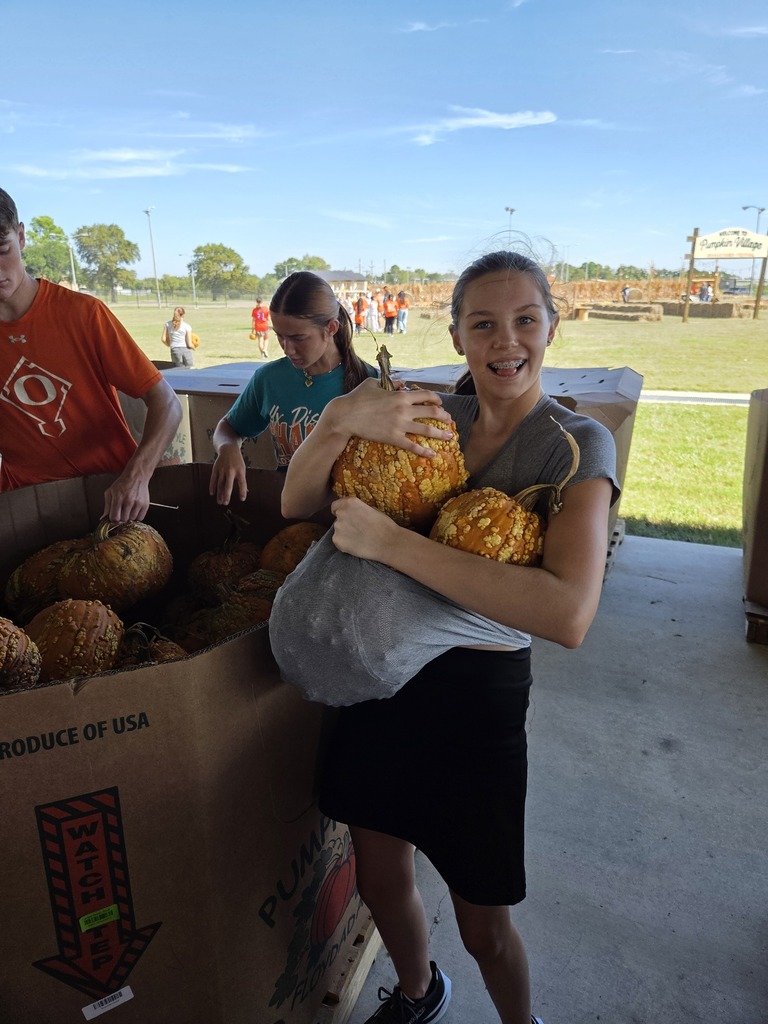 Students setting up pumpkins for orangetober fest.