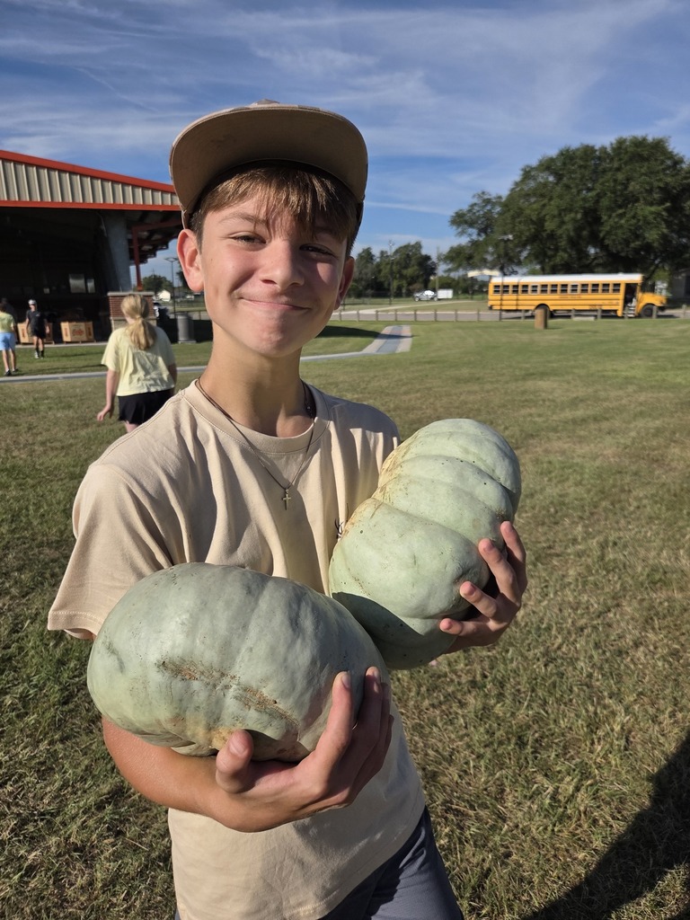 Students setting up pumpkins for orangetober fest.