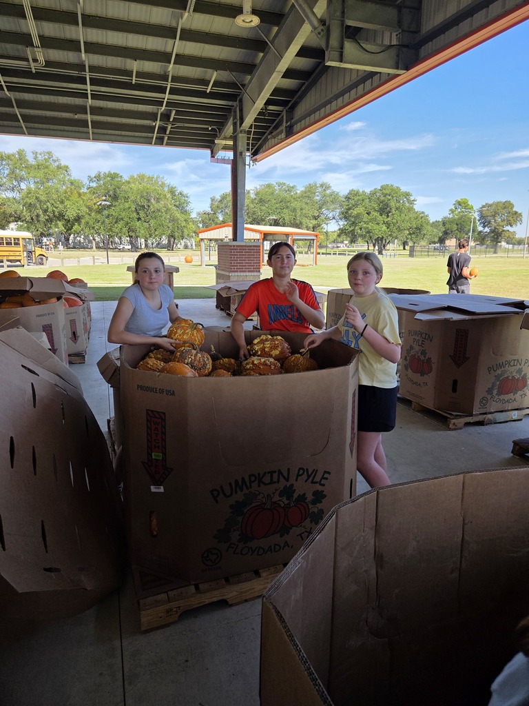 Students setting up pumpkins for orangetober fest.