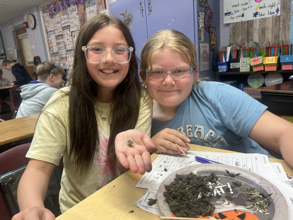 two fifth grade girls dissecting owl pellets for class