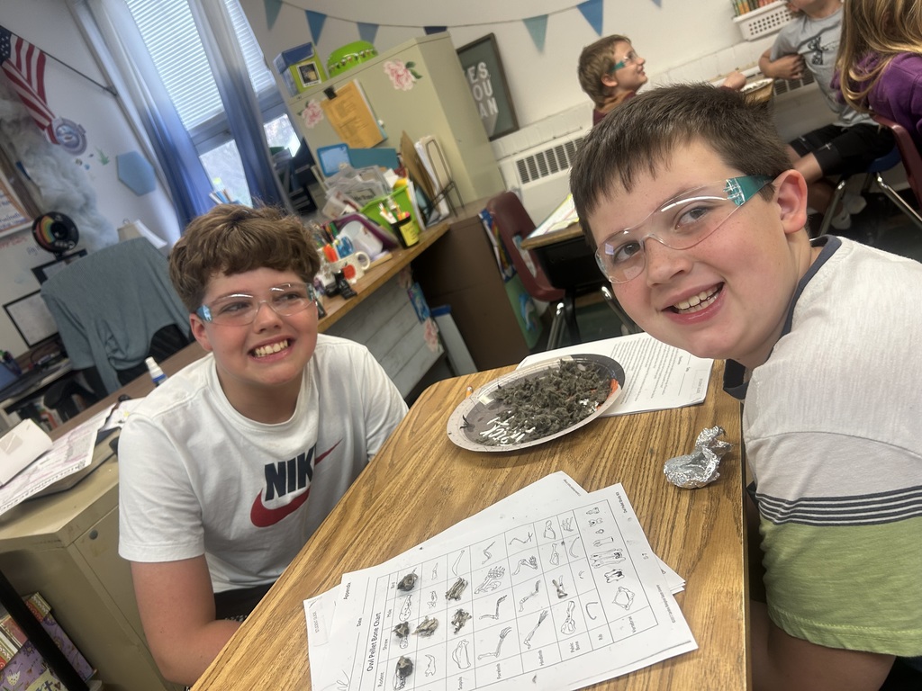 two fifth grade boys dissect owl pellets for class