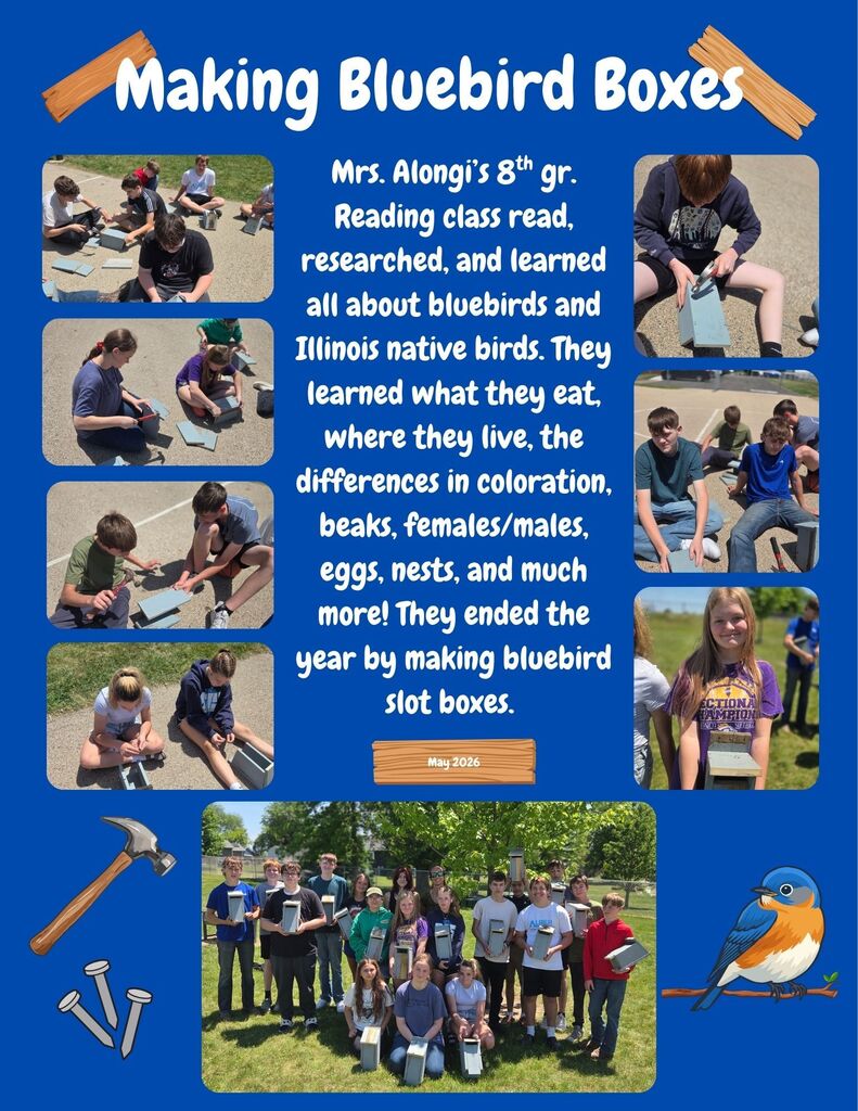 collage of students building bluebird boxes