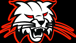 Bobcat
