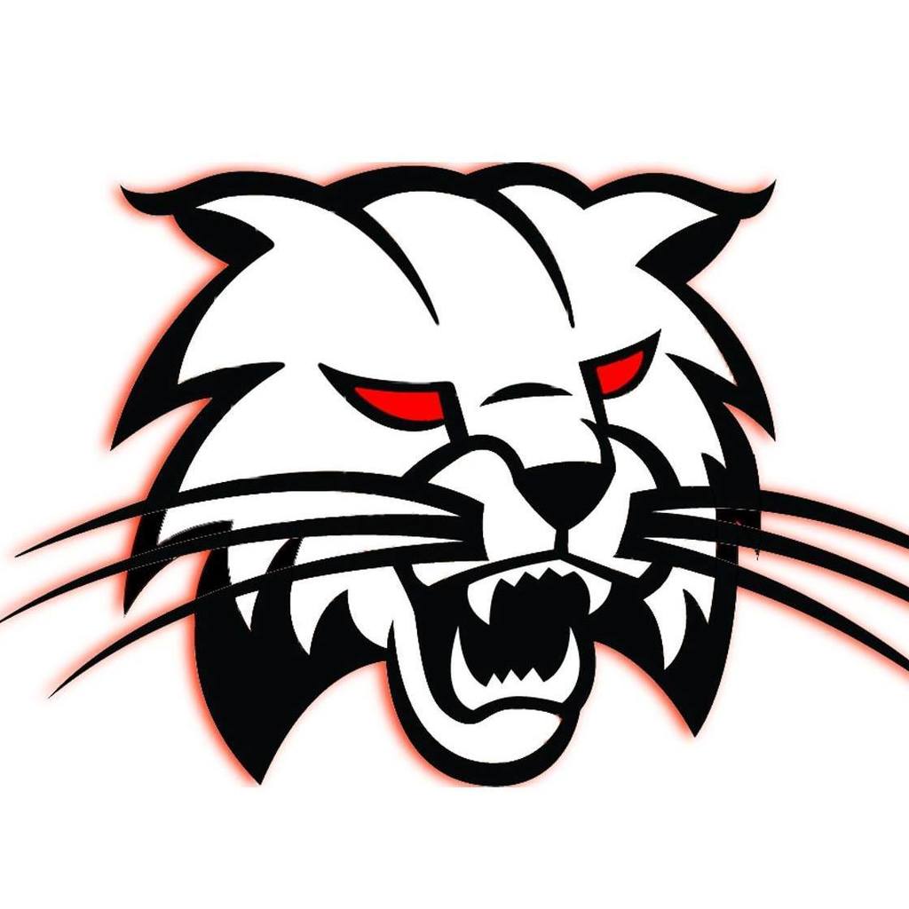 Cool Bobcat