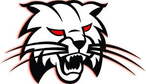 bobcat