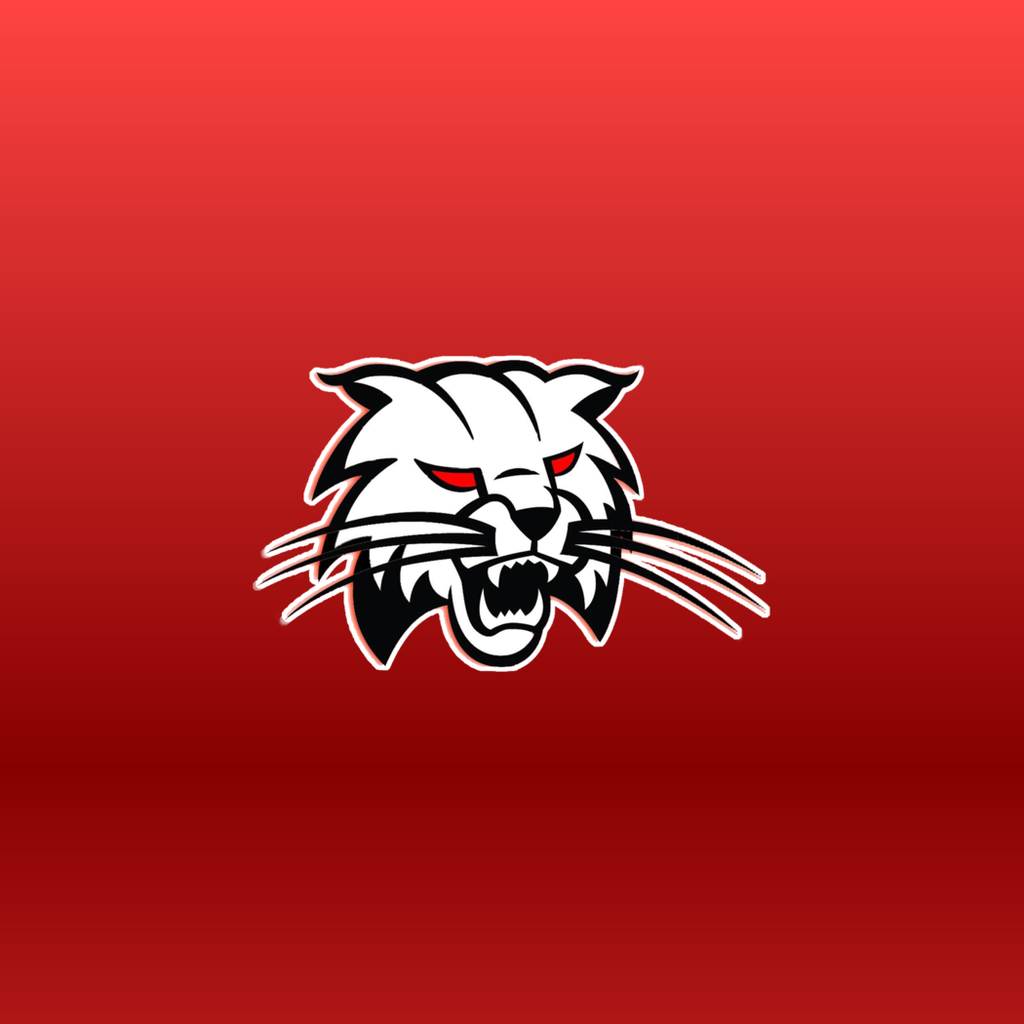 Bobcat