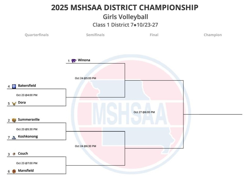 district tournament
