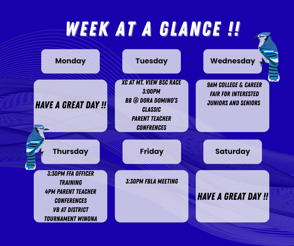 Week at a Glance