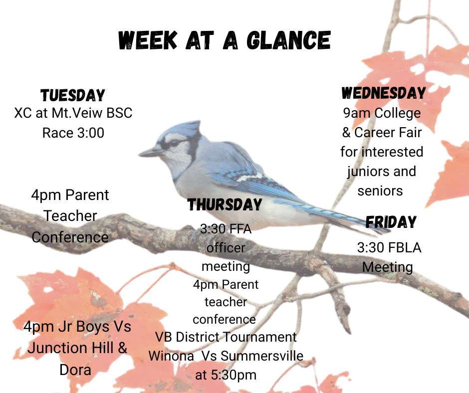 Week at a Glance