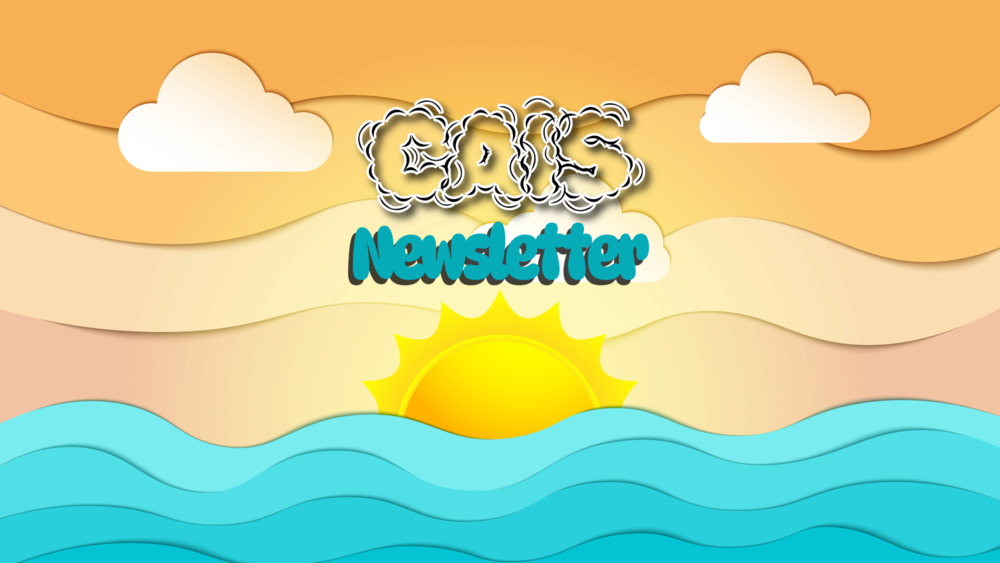 CAIS WEEKLY NEWSLETTER 5/28