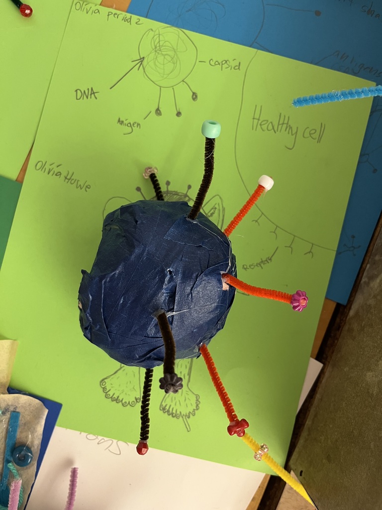 From bottle-cap capsids to pipe-cleaner spikes, these students turned science into art.