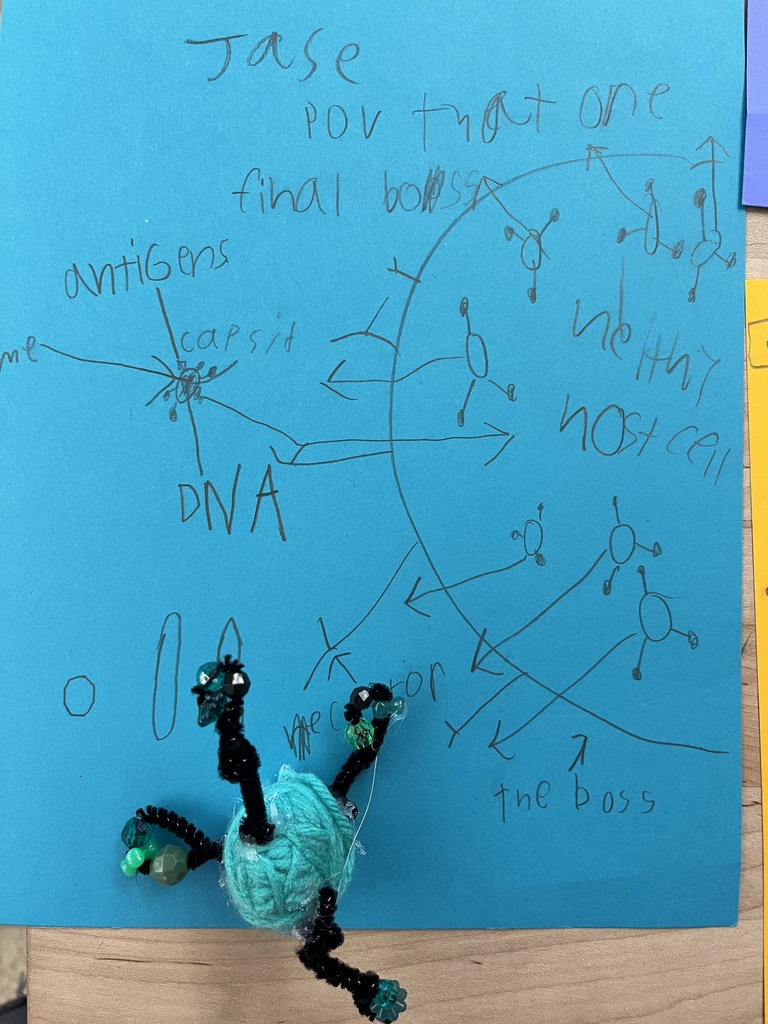From bottle-cap capsids to pipe-cleaner spikes, these students turned science into art.