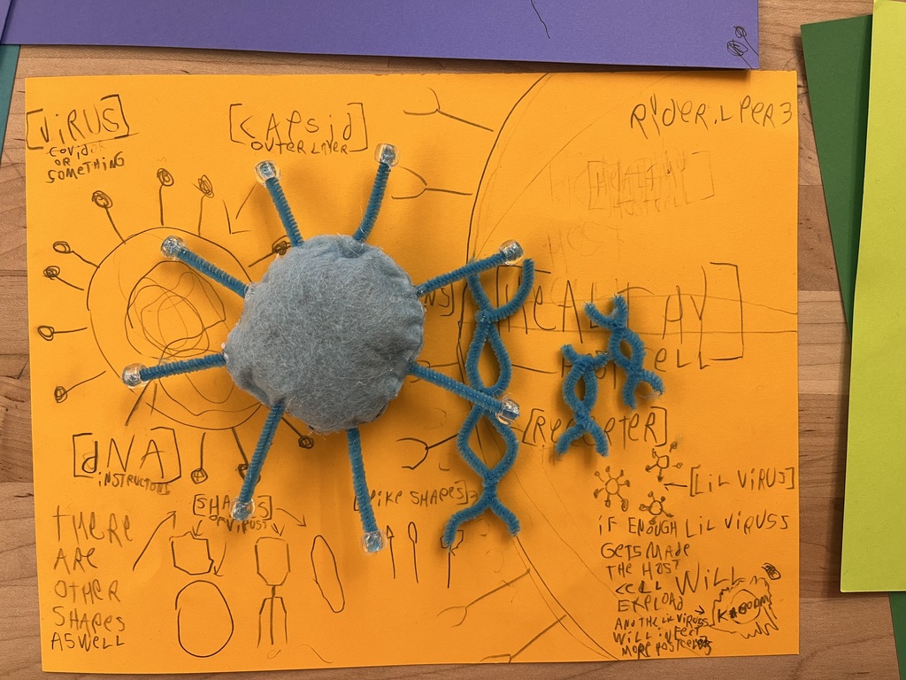 From bottle-cap capsids to pipe-cleaner spikes, these students turned science into art.