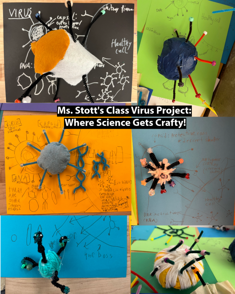 This week, our 6th & 7th graders took a hands-on dive into virology — designing their own virus models using only found or recycled materials! 🧠♻️ From bottle-cap capsids to pipe-cleaner spikes, these students turned science into art. CAIS creativity strikes again!