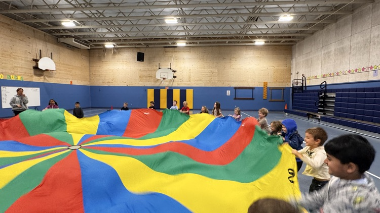PE Parachute 