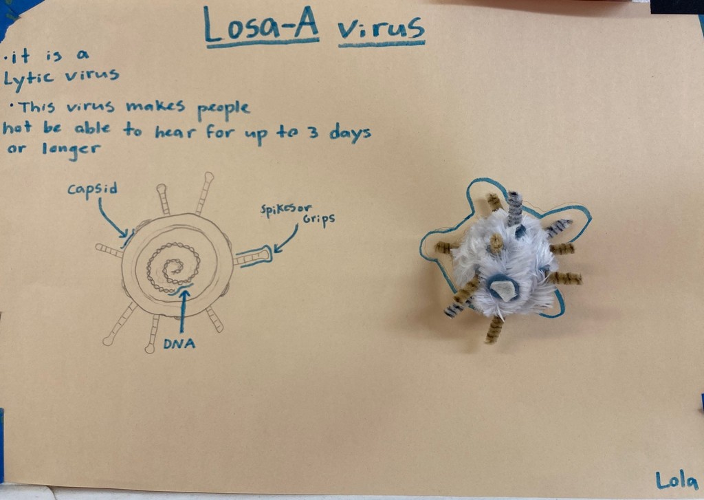 MS  Project from science & wellness class