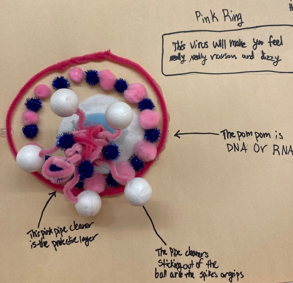 MS  Project from science & wellness class