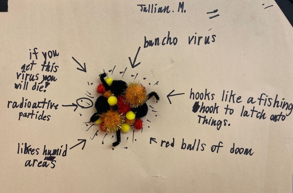 MS  Project from science & wellness class