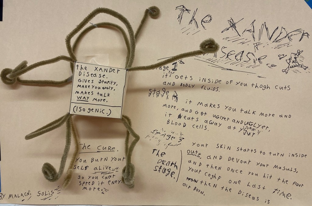 MS  Project from science & wellness class