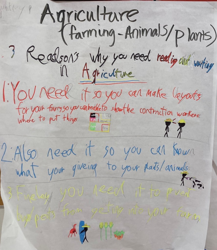 MS  Project from humanities class