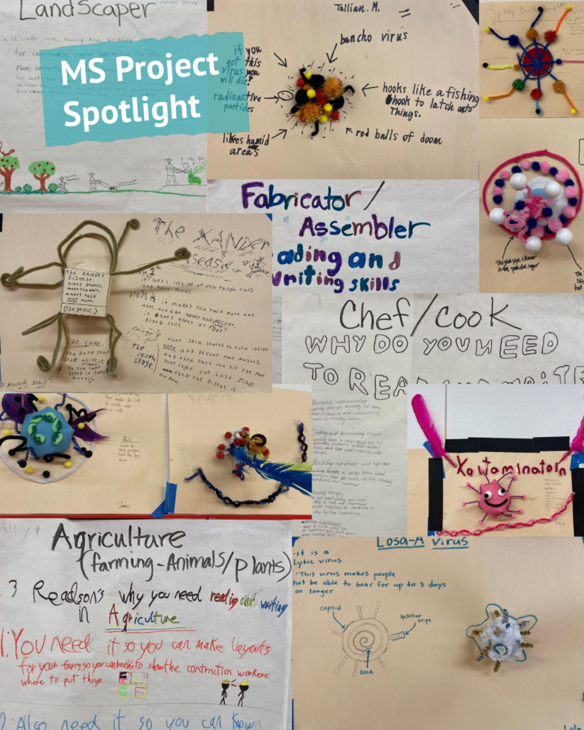 MS Project Spotlight